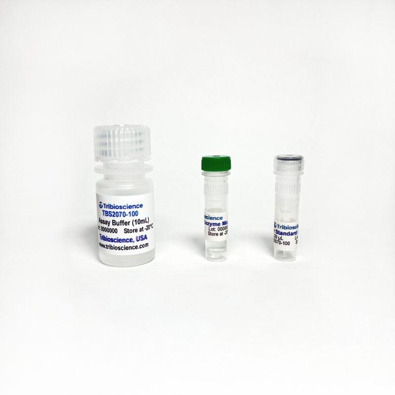 Tyrosine Colorimetric Assay Kit