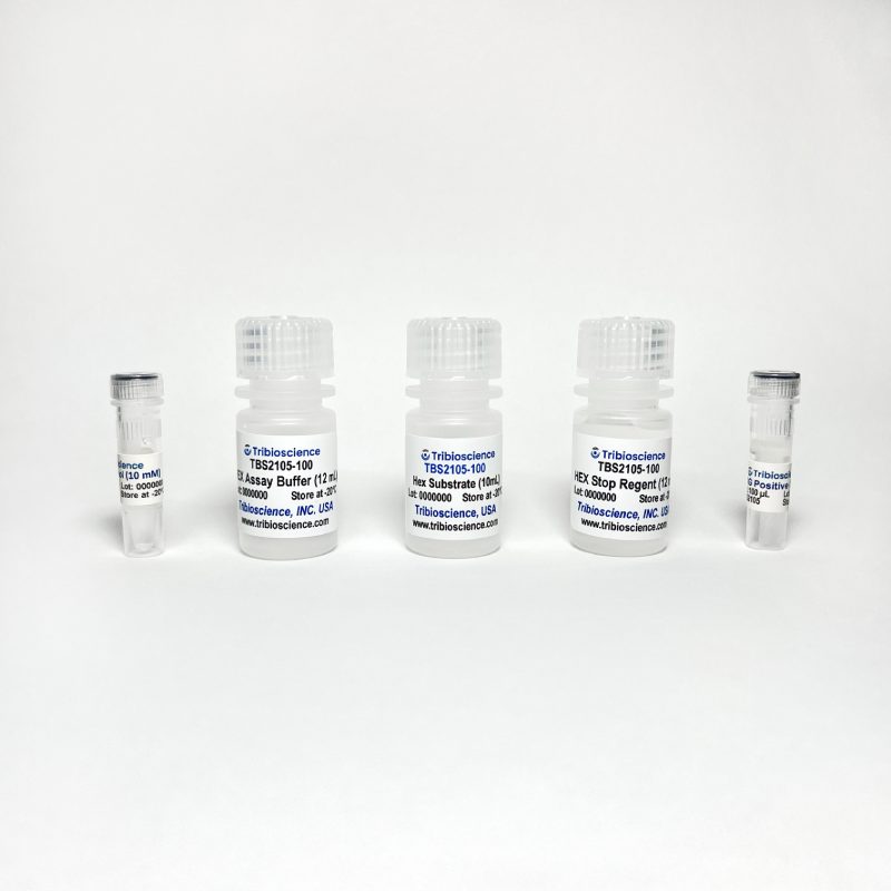 Beta-N-Acetylglucosaminidase (Beta – NAG) Activity Fluorometric Assay Kit