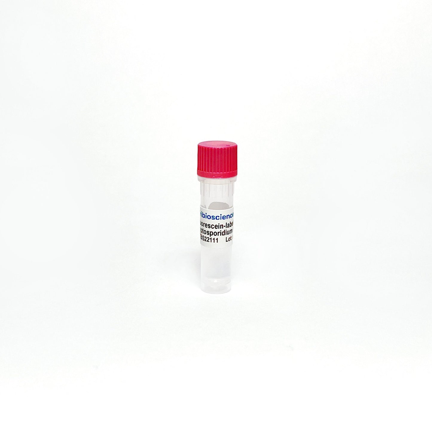 Fluorescein -labeled anti-Cryptosporidium antibody