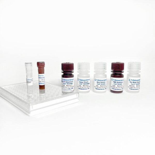 Botulinum Neurotoxin Type B (BoNT-B) ELISA