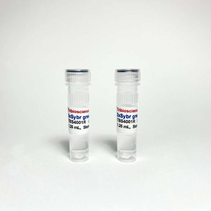 Tribo™ 2x Sybr qPCR Super Mix, No ROX
