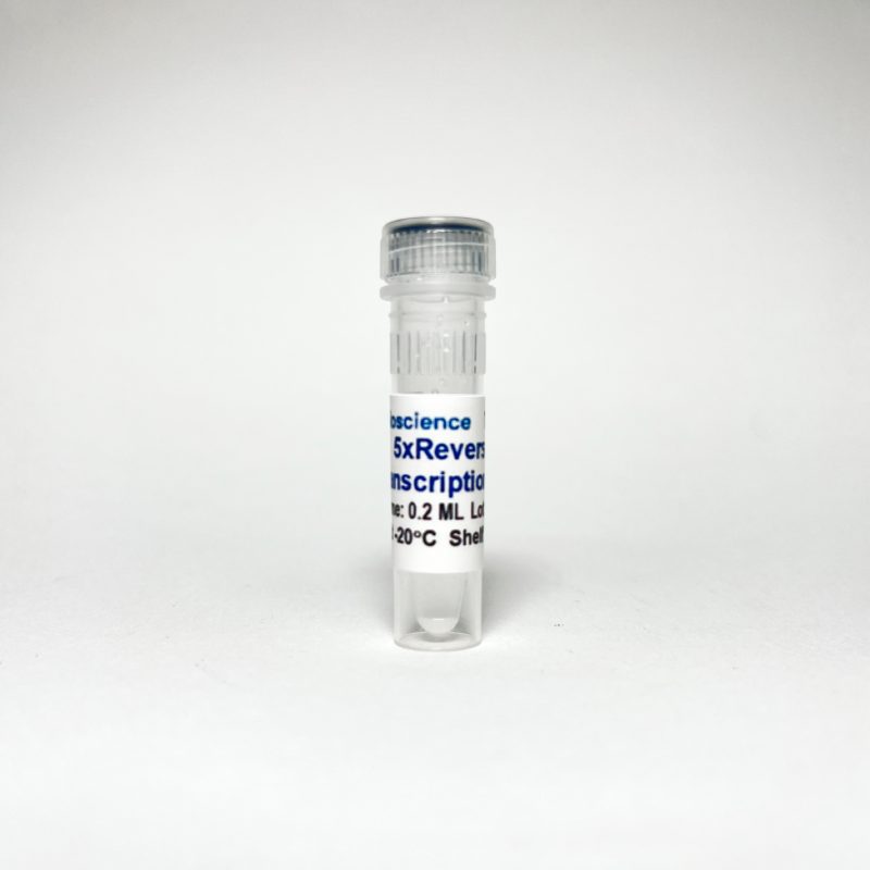 TriboTM Reverse Transcription Reaction Kit (All-in-One)