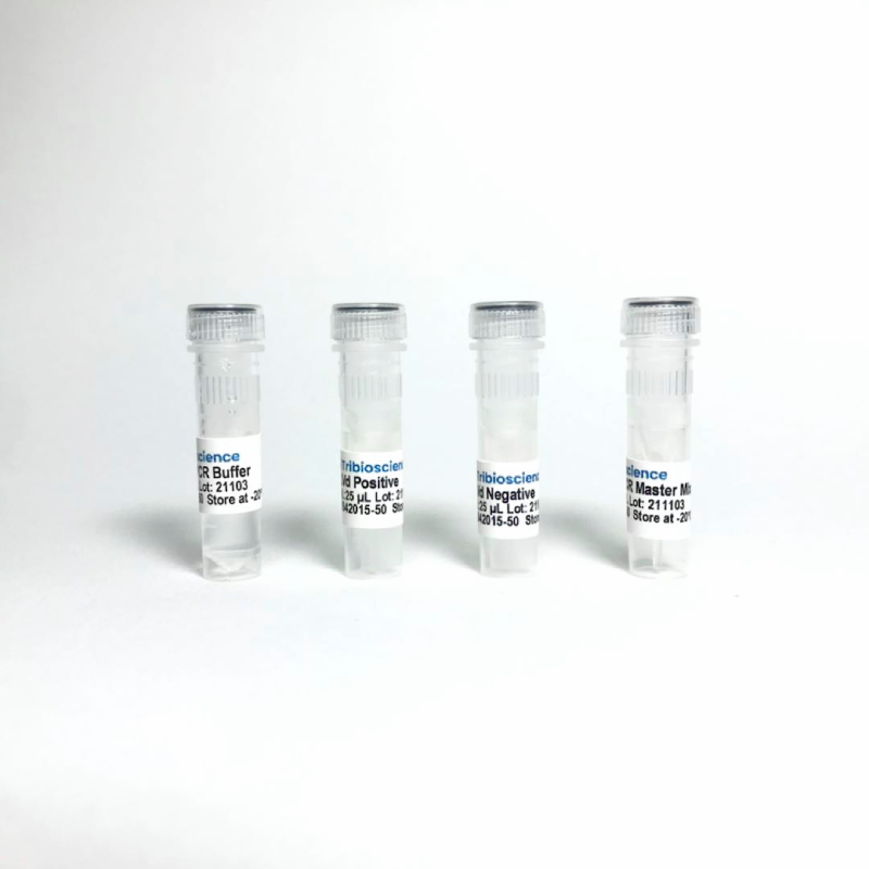 Hop latent Viroid (HLVD) RT-qPCR Detection System