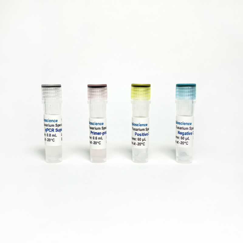 Fusarium Species TaqProbe qPCR Detection; 200 RXN