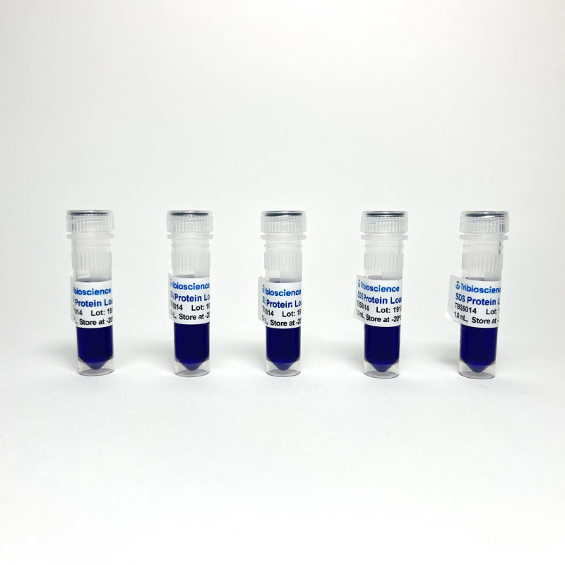 6x Protein Loading Buffer