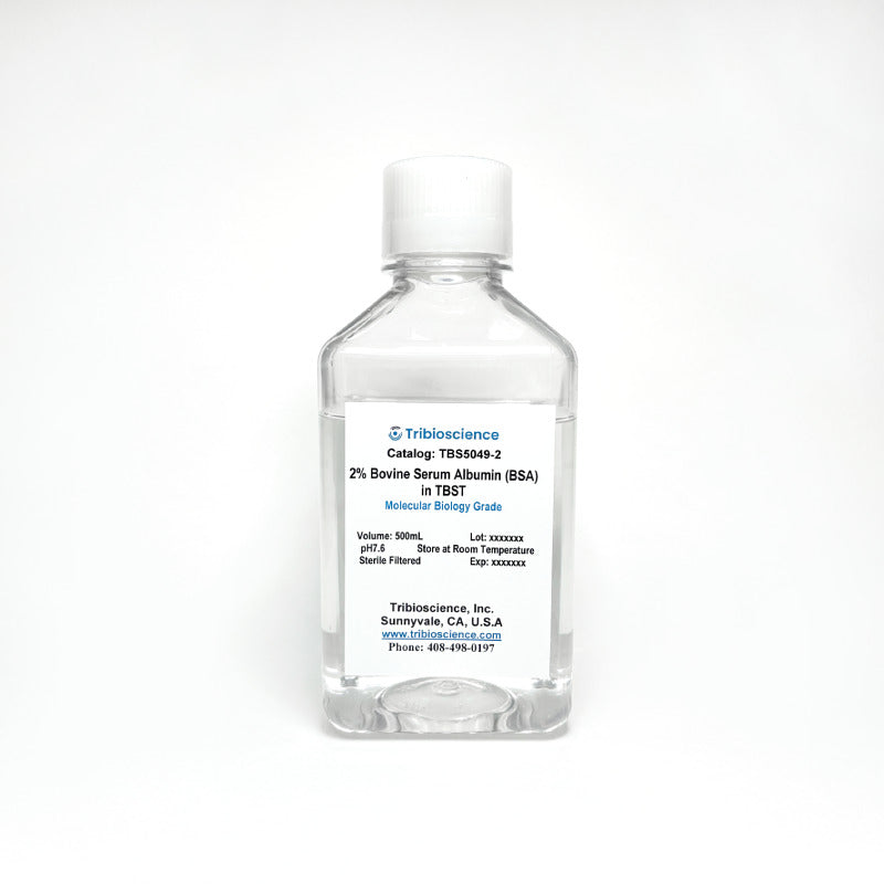 Tribo™ Bovine Serum Albumin 2% in TBST buffer