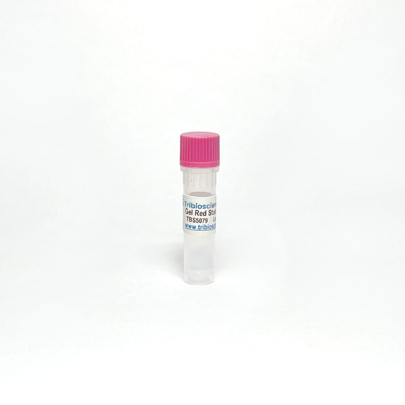 Gel Red Stain Solution 10000x in Water