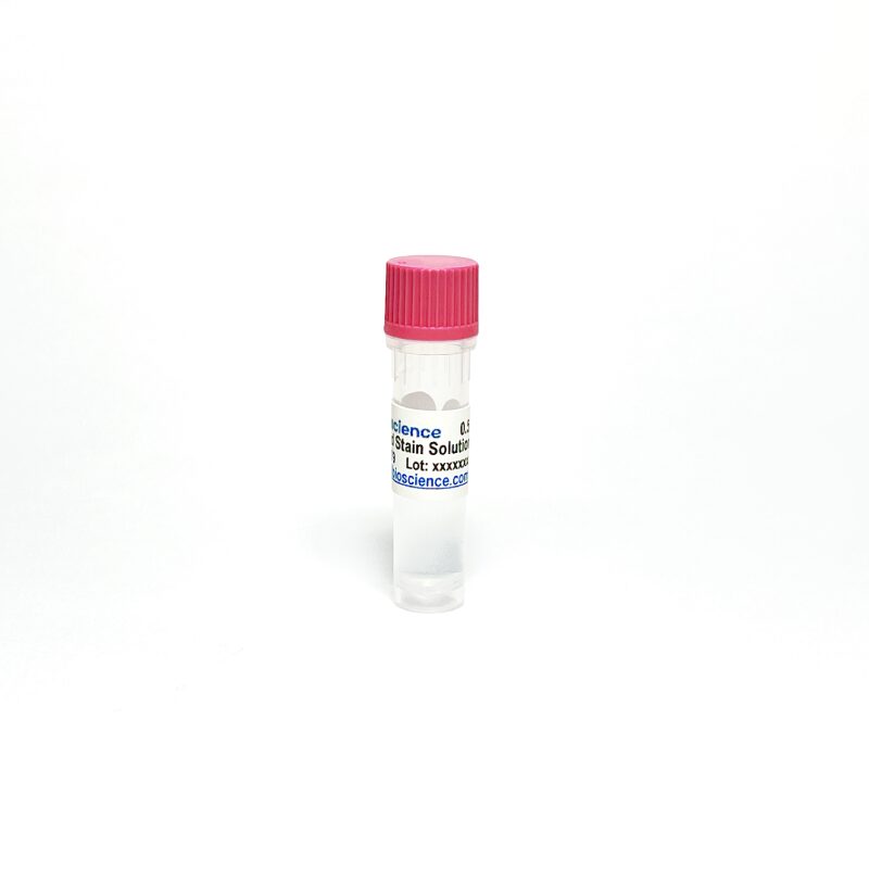 Gel SmartGlow Stain Solution 20000x