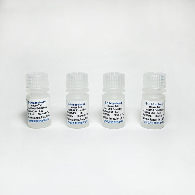 Mouse Tail DNA Extraction