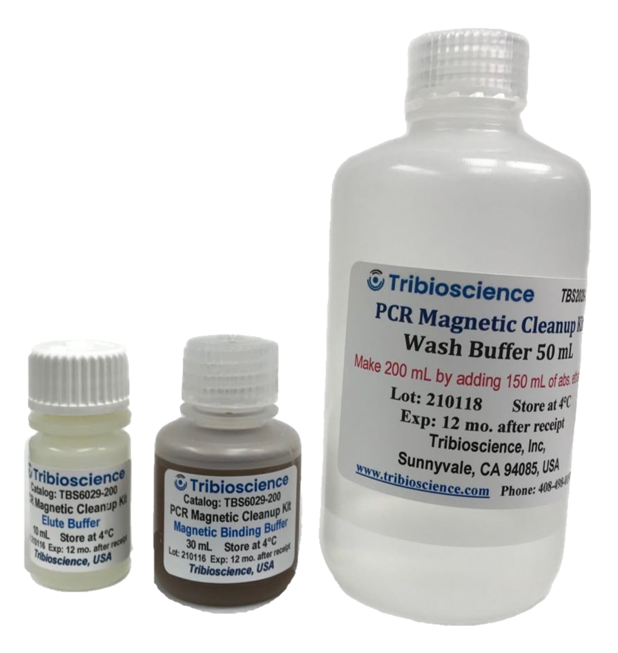 PCR magnetic Cleanup