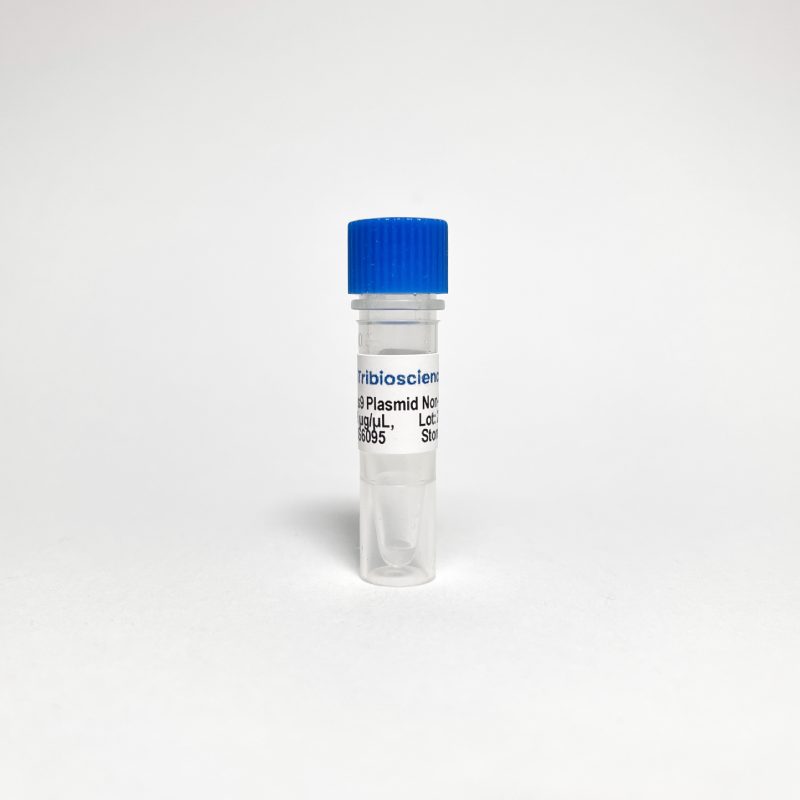 Cas9 Nuclease Plasmid Non-Viral Vector