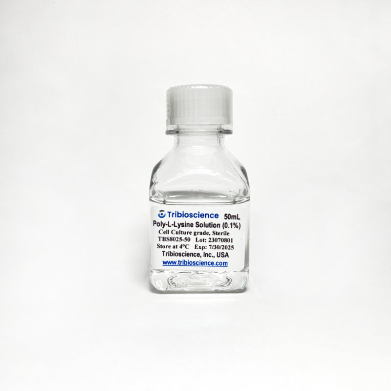 Poly-L-Lysine Solution (0.1%) in Water