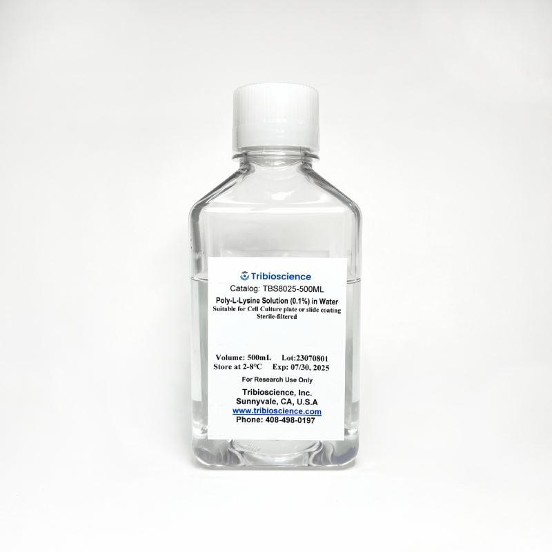 Poly-L-Lysine Solution (0.1%) in Water