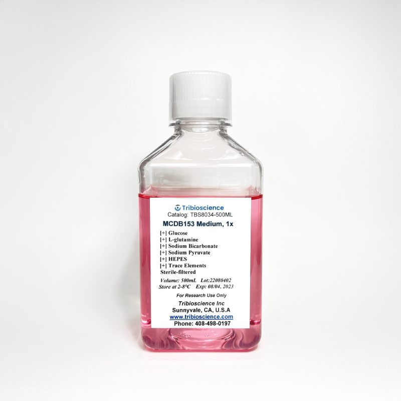 MCDB 153 medium with Trace Elements, L-Glutamine, and Sodium Pyruvate