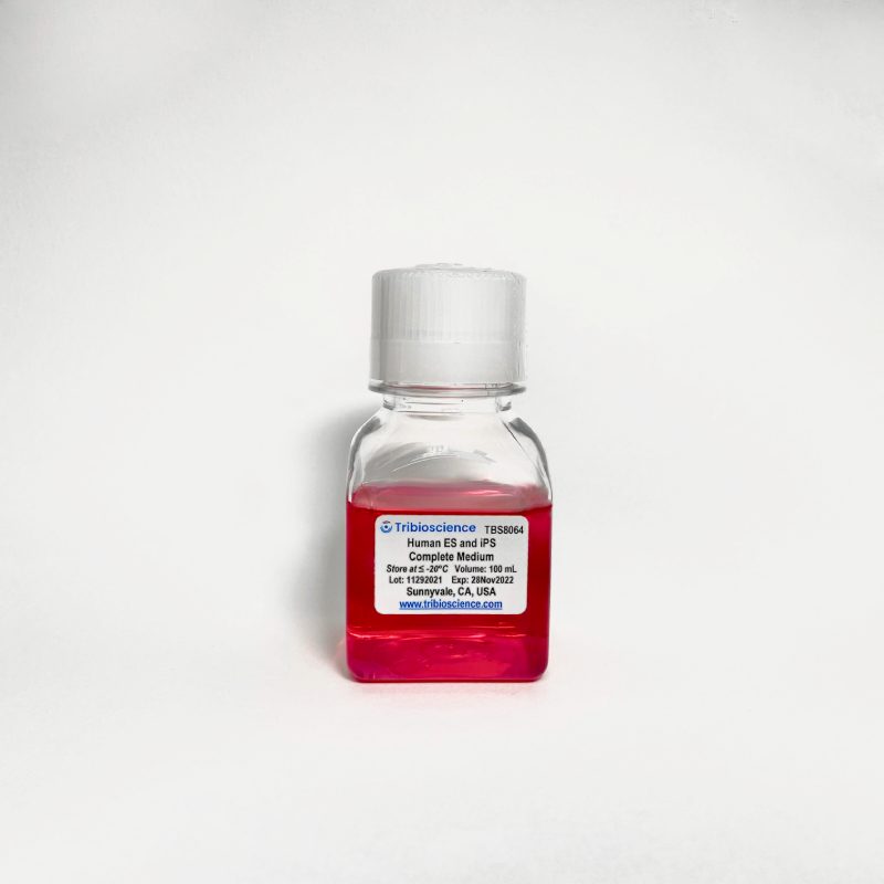 Tribo™ Human ES and iPS Complete Cell Medium (Chemically defined)