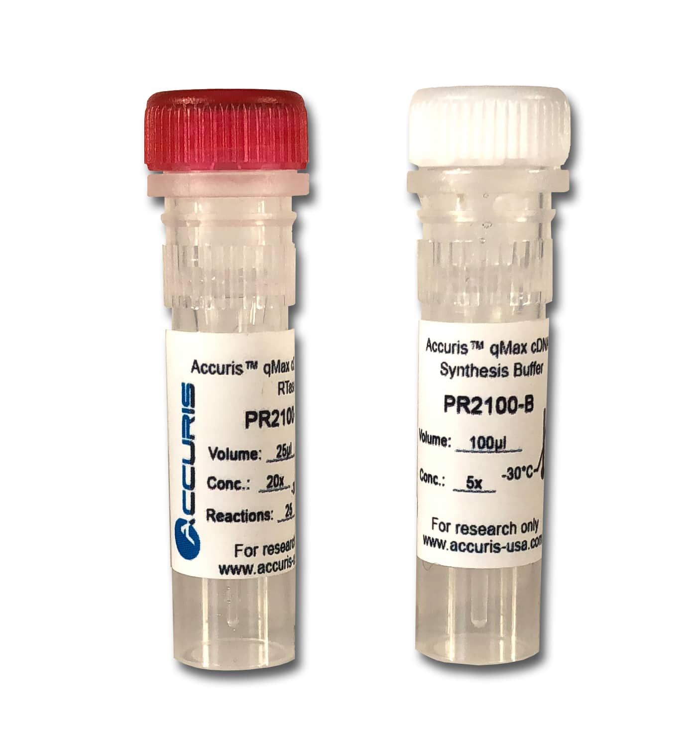 Accuris qMAX cDNA Synthesis Kit, 250 reactions