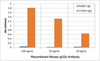 Mouse IgG2c Antibody