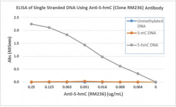 5-Hydroxymethylcytosine Antibody (5hmC)