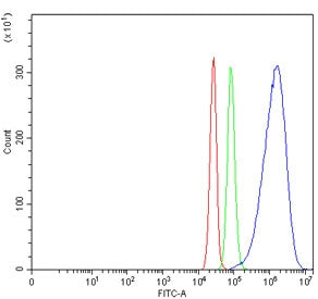 CYP7A1 Antibody