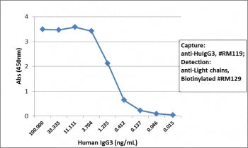 Human IgG3 Antibody