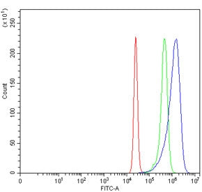 Triosephosphate isomerase Antibody / TPI1