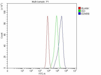 Flow Cytometry analysis of CACO-2 cells using anti-EDNRB antibody. Overlay histogram showing CACO-2