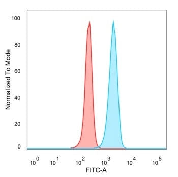 IRF3 Antibody