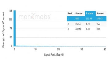 Analysis of a HuProt(TM) microarray containing more than 19,000 full-length human proteins using Bas