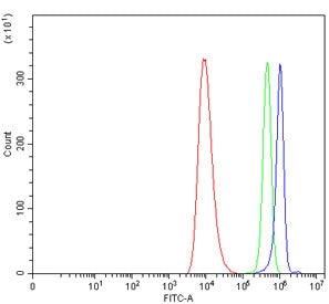 Flow cytometry testing of human HEL cells with WIPF1 antibody at 1ug/million cells (blocked with goa
