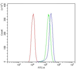 Flow cytometry testing of human A431 cells with BAG5 antibody at 1ug/million cells (blocked with goa
