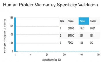 SMNDC1 Antibody