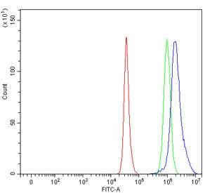 RPL5 Antibody / 60S ribosomal protein L5