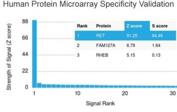 c-RET Antibody