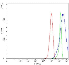 TTC8 Antibody / BBS8