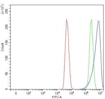 NHLRC2 Antibody / NHL repeat-containing protein 2