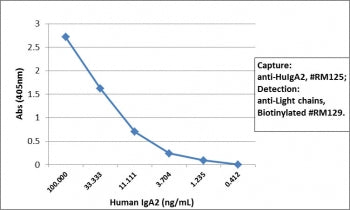 Human IgA2 Antibody