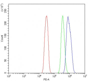 Flow cytometry testing of human SiHa cells with RNF212 antibody at 1ug/million cells (blocked with g