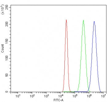 Flow cytometry testing of fixed and permeabilized human K562 cells with CHK1 antibody at 1ug/million
