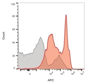 CD4 Antibody