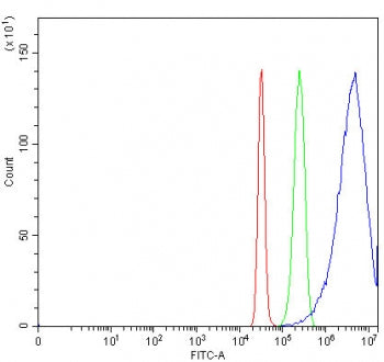 Flow cytometry testing of fixed and permeabilized human HepG2 cells with GJB1 antibody at 1ug/millio