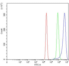 Flow cytometry testing of human U-2 OS cells with Rho-associated protein kinase 1 antibody at 1ug/mi