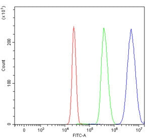 Flow cytometry testing of human HepG2 cells with PPAR alpha antibody at 1ug/million cells (blocked w