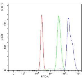 Flow cytometry testing of human HepG2 cells with CENPF antibody at 1ug/million cells (blocked with goat sera); Red=cells alone, Green=isotype control, Blue= CENPF antibody.