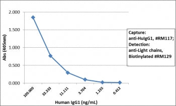 Human IgG1 Antibody