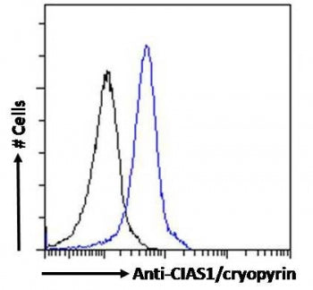NALP3 Antibody