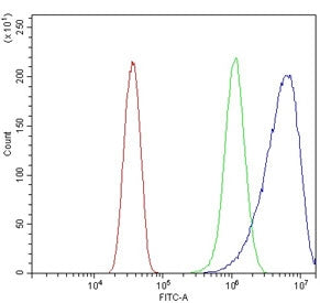 cPLA2-beta Antibody / PLA2G4B