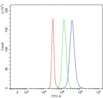 Flow cytometry testing of fixed and permeabilized human SH-SY5Y cells with TSC22D1 antibody at 1ug/m