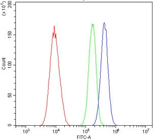 RXRA Antibody / Retinoid X Receptor alpha