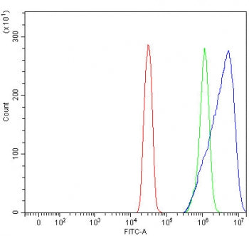 RGL4 Antibody / RalGDS-like 4 / Ral-GDS-related protein