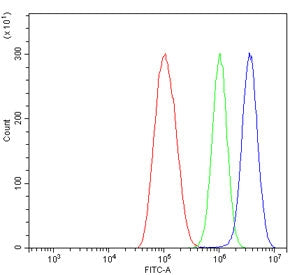 Flow cytometry testing of human ThP-1 cells with IRF7 antibody at 1ug/million cells (blocked with go